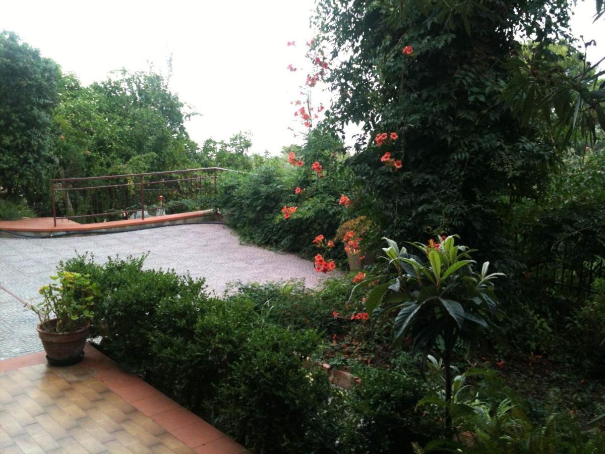 Stanza In Villa Con Giardino Vista Mare Cefalù Eksteriør billede