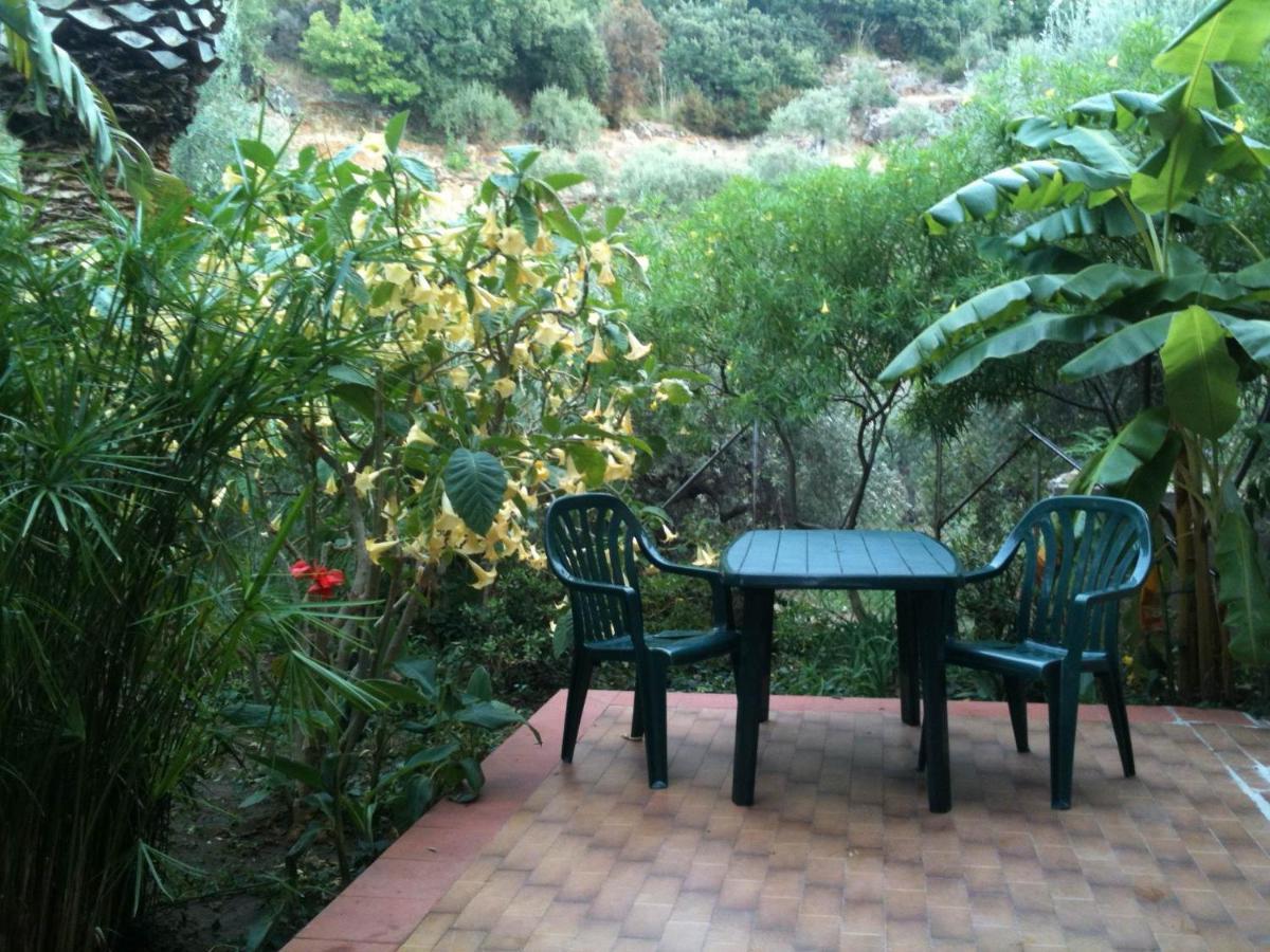 Stanza In Villa Con Giardino Vista Mare Cefalù Eksteriør billede