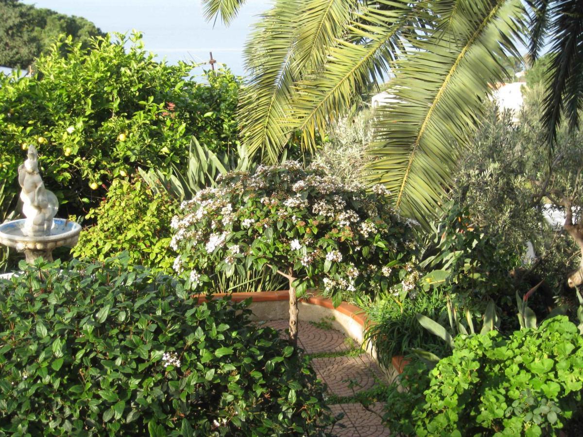 Stanza In Villa Con Giardino Vista Mare Cefalù Eksteriør billede
