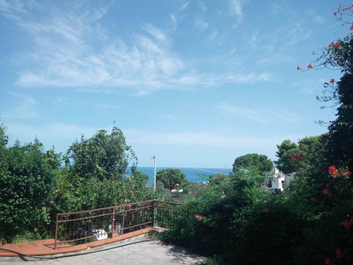 Stanza In Villa Con Giardino Vista Mare Cefalù Eksteriør billede