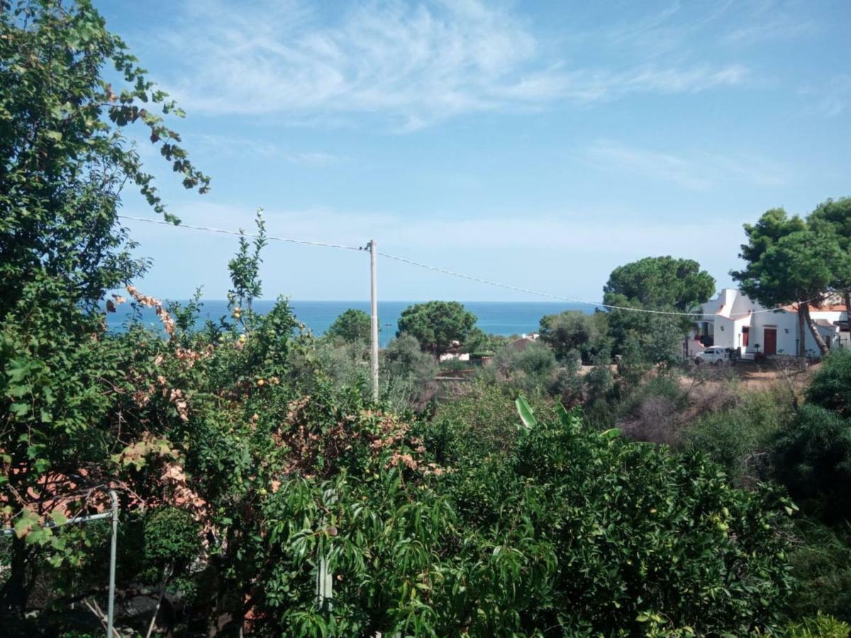 Stanza In Villa Con Giardino Vista Mare Cefalù Eksteriør billede