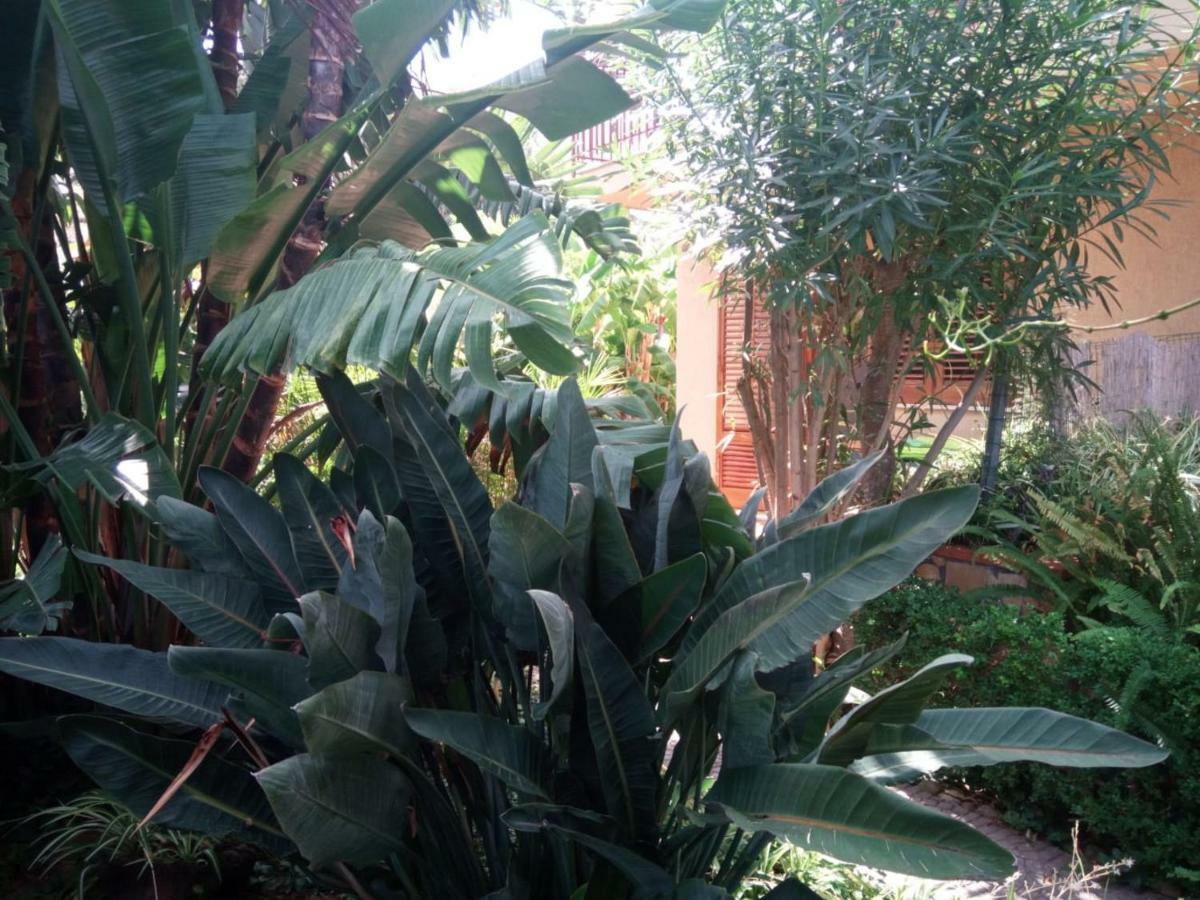 Stanza In Villa Con Giardino Vista Mare Cefalù Eksteriør billede