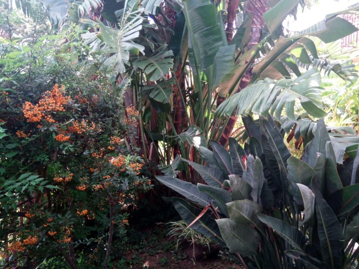 Stanza In Villa Con Giardino Vista Mare Cefalù Eksteriør billede