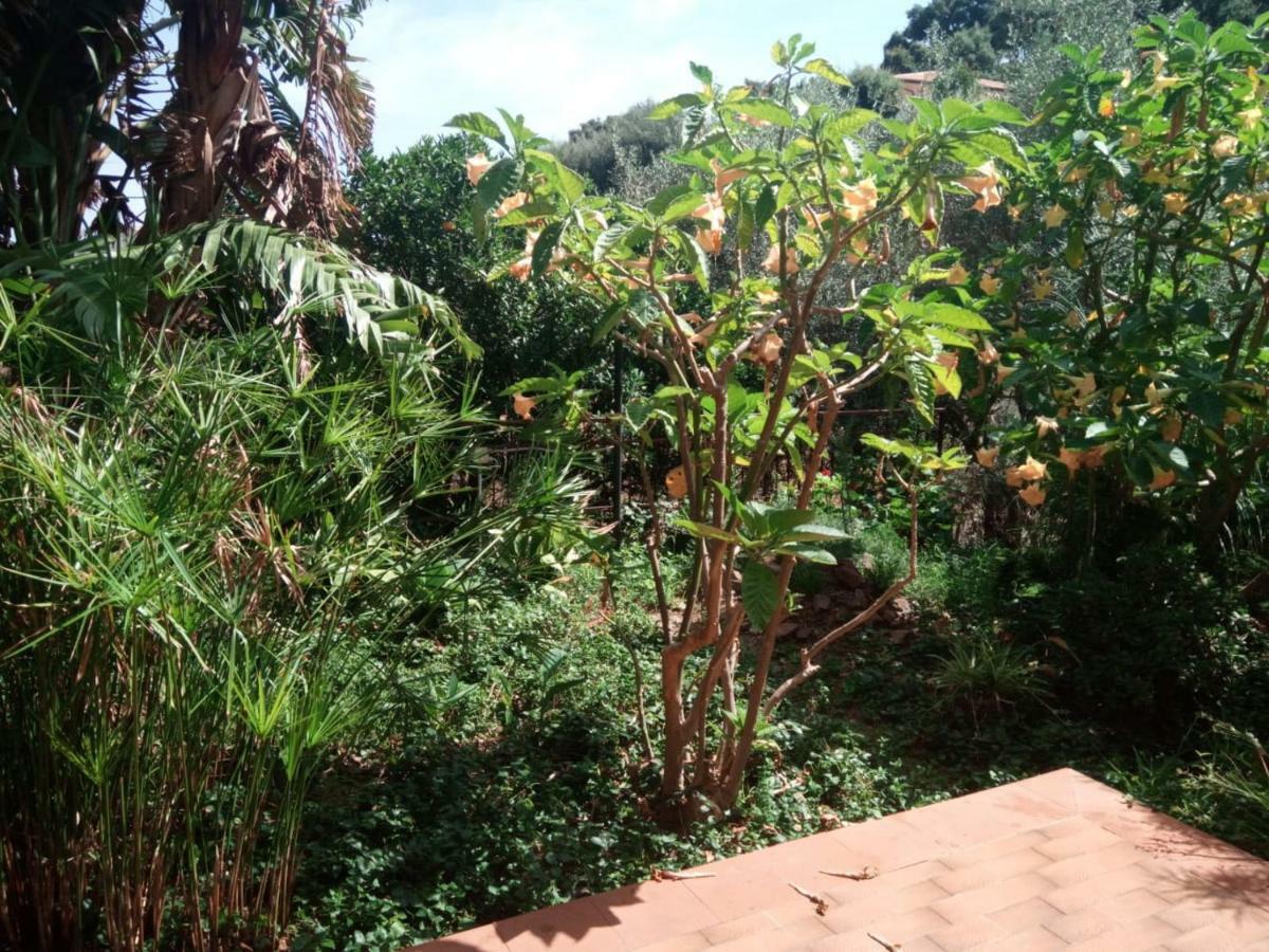 Stanza In Villa Con Giardino Vista Mare Cefalù Eksteriør billede